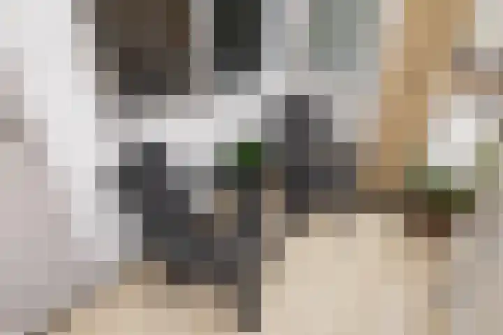 Kermispad 93 Amsterdam thumbnail 27