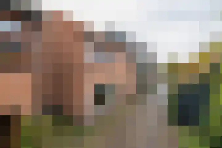 Kerpsdam 7 Warmond