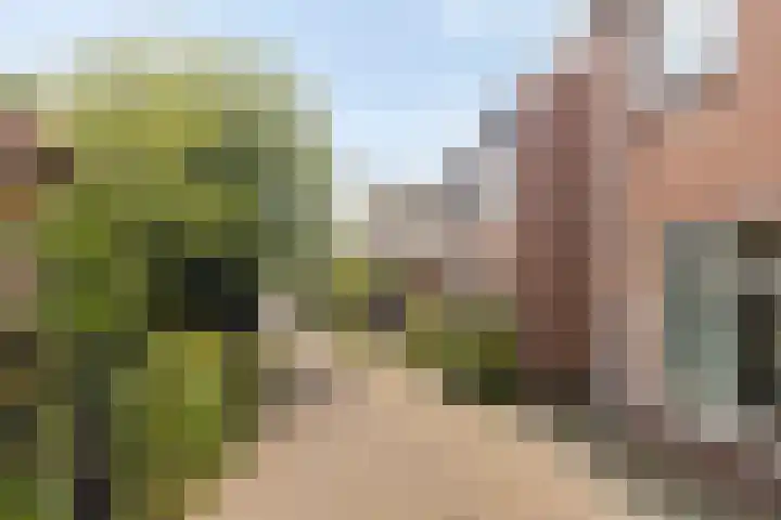 Kerpsdam 9 Warmond thumbnail 25