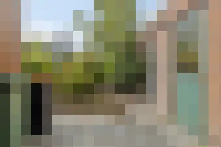 Kerpsdam 9 Warmond thumbnail 9