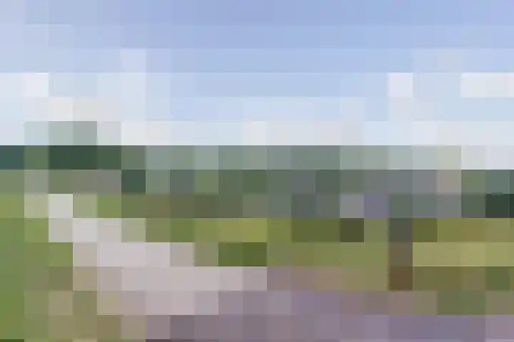 Logo of Kerremans Makelaardij