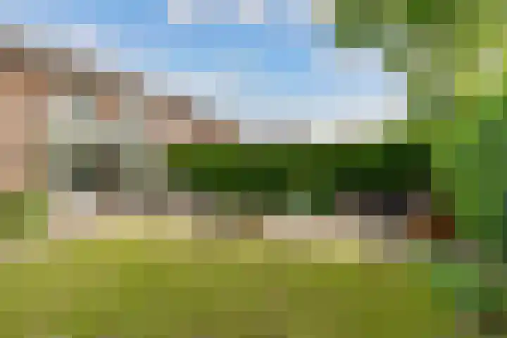Kerseboomgaard 15 Bunnik thumbnail 39