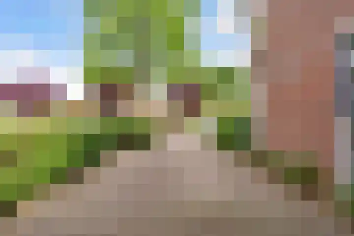 Kerseboomgaard 15 Bunnik thumbnail 41