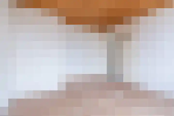 Kerselaar 22 Geldrop thumbnail 12
