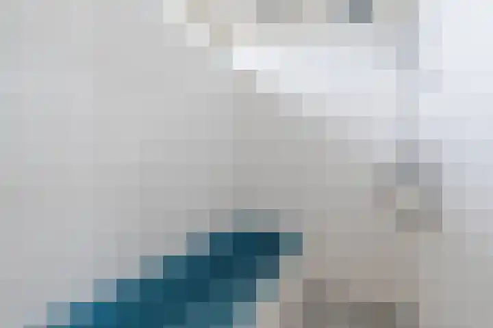 Kerselaar 22 Geldrop thumbnail 15