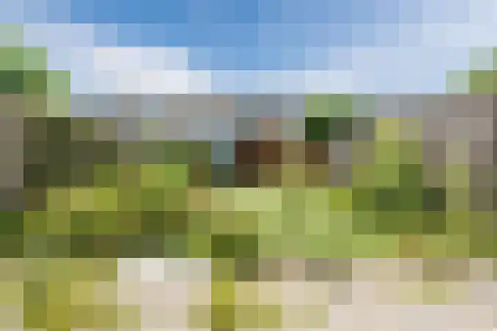 Kerselaar 22 Geldrop thumbnail 21