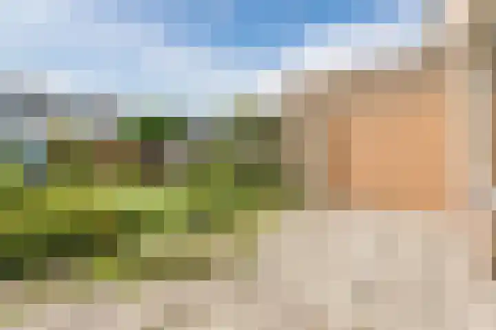 Kerselaar 22 Geldrop thumbnail 22