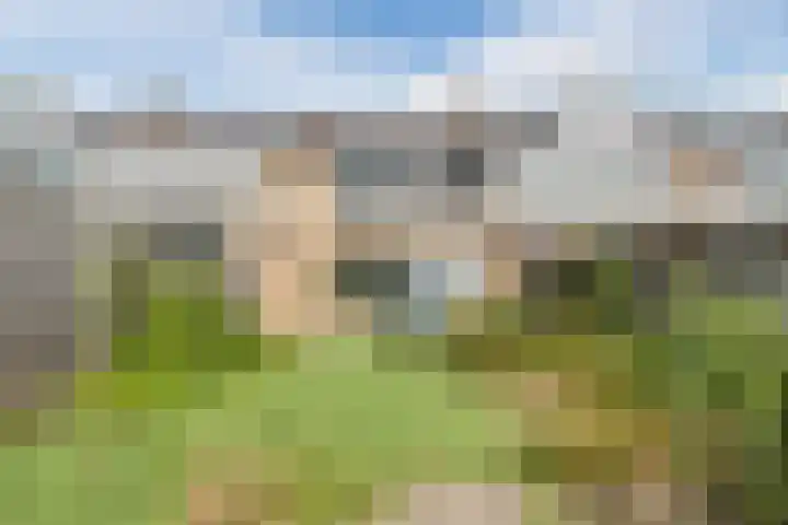 Kerselaar 22 Geldrop thumbnail 25