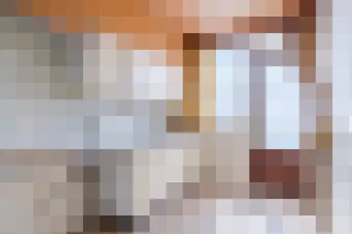 Kerselaar 22 Geldrop thumbnail 9