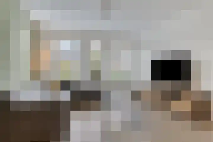 Kersenboom 18 Leek thumbnail 10