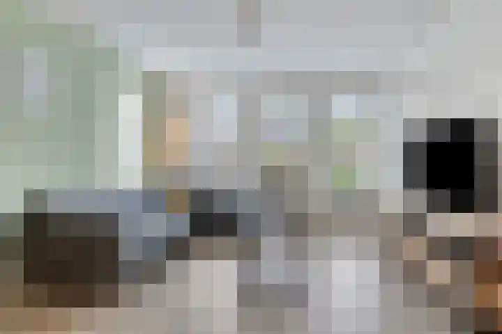 Kersenboom 18 Leek thumbnail 11
