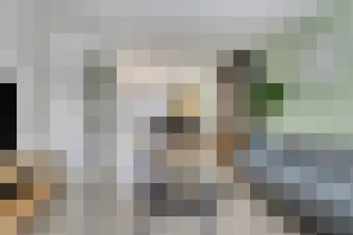 Kersenboom 18 Leek thumbnail 12