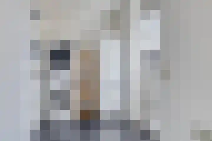 Kersenboom 18 Leek thumbnail 21
