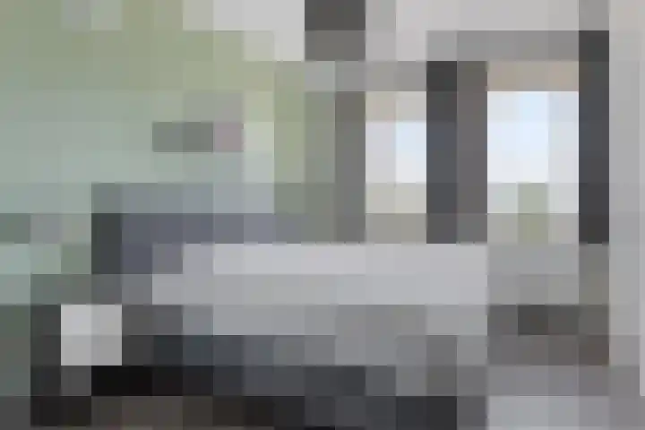 Kersenboom 18 Leek thumbnail 27