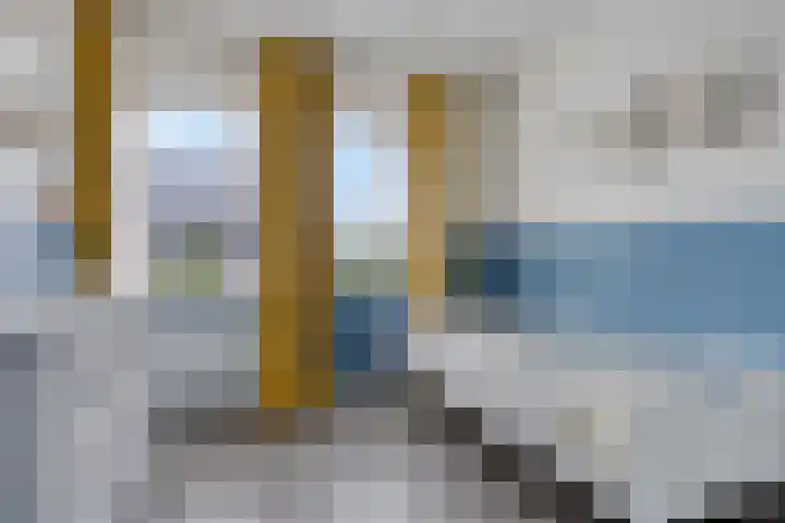Kersenboom 18 Leek thumbnail 29
