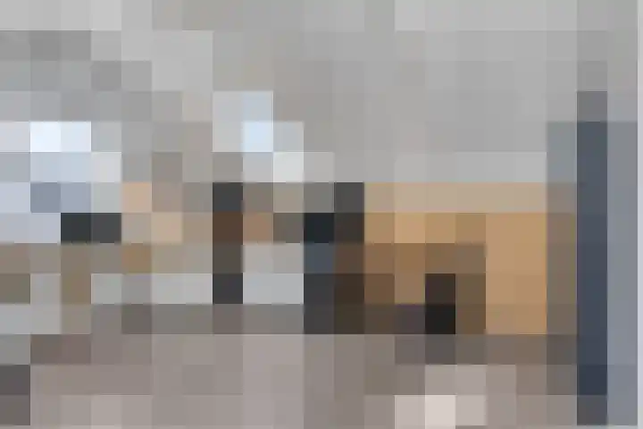 Kersenboom 18 Leek thumbnail 35