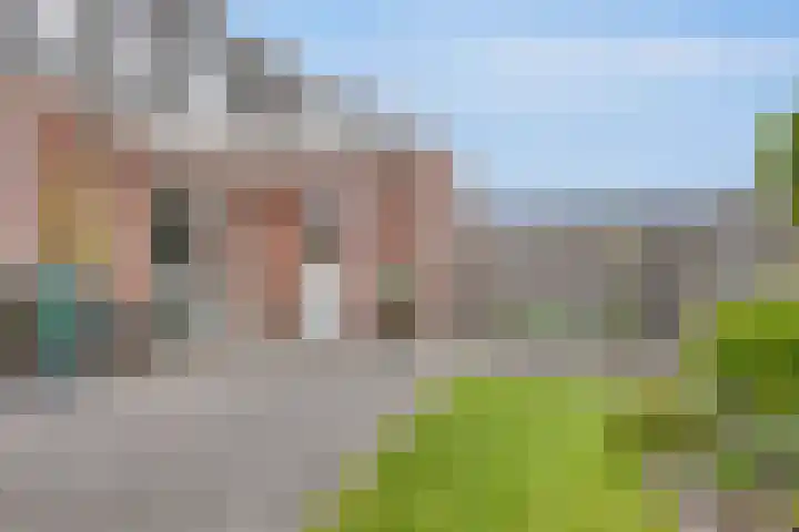 Kersenboom 18 Leek thumbnail 38