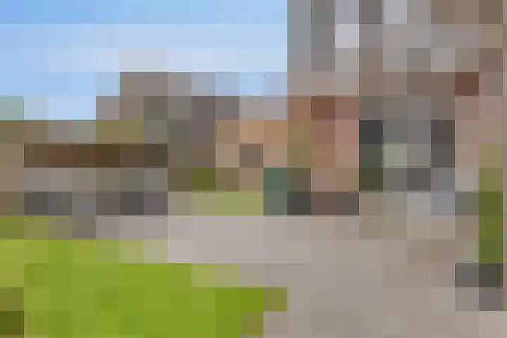 Kersenboom 18 Leek thumbnail 39