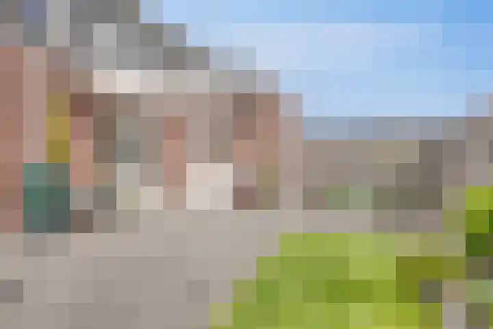 Kersenboom 18 Leek thumbnail 42