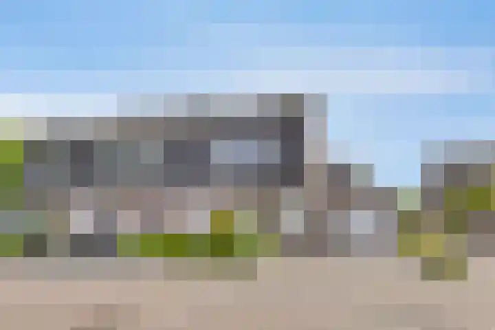 Kersenboom 18 Leek thumbnail 6