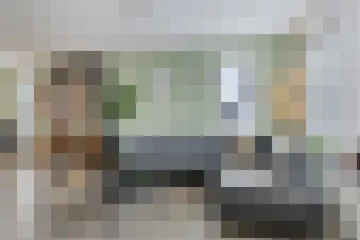 Kersenboom 18 Leek thumbnail 8