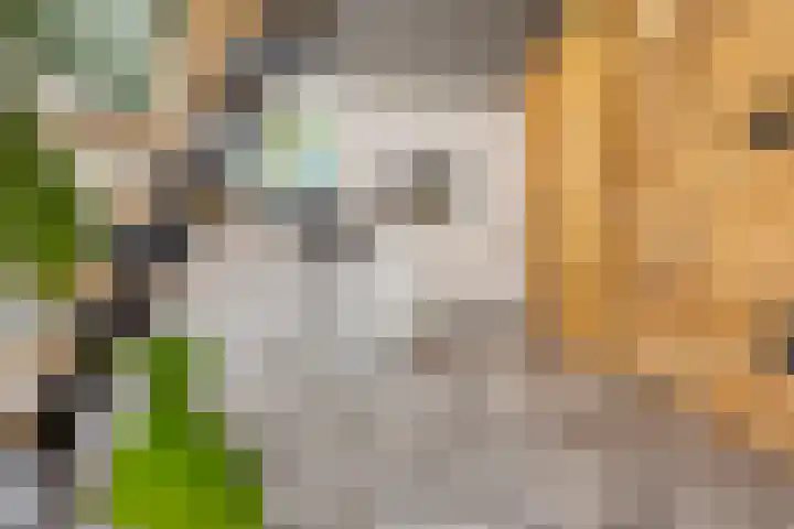 Kersenlaan 17 Bunde thumbnail 17