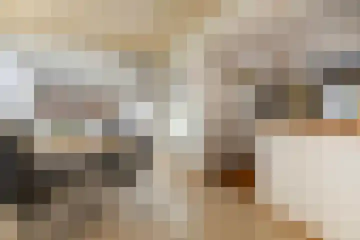 Kersenlaan 4 Bunde thumbnail 15