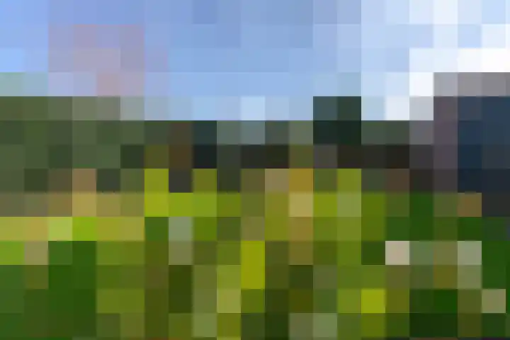 Kersenlaan 4 Bunde thumbnail 30