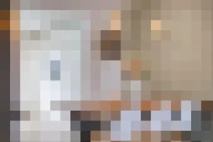 Kersenlaan 55 Oss thumbnail 12