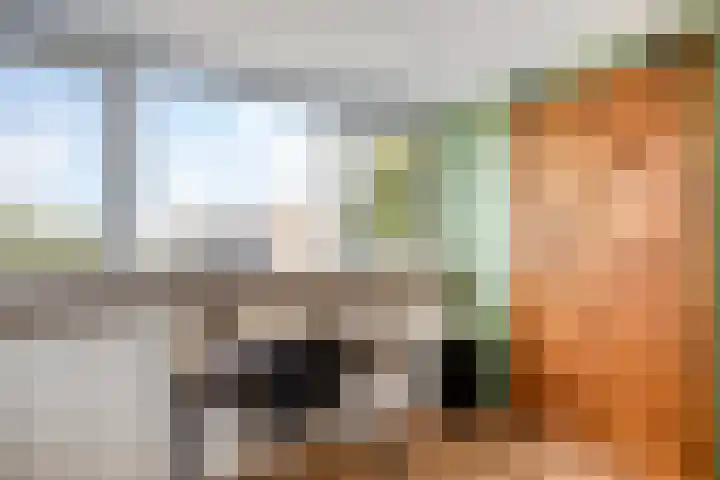 Kersenlaan 55 Oss thumbnail 27