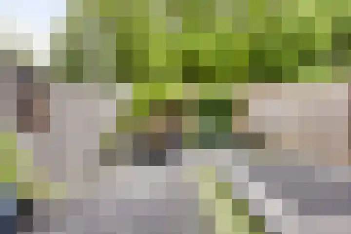 Kersenlaan 55 Oss thumbnail 29