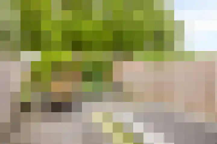 Kersenlaan 55 Oss thumbnail 30