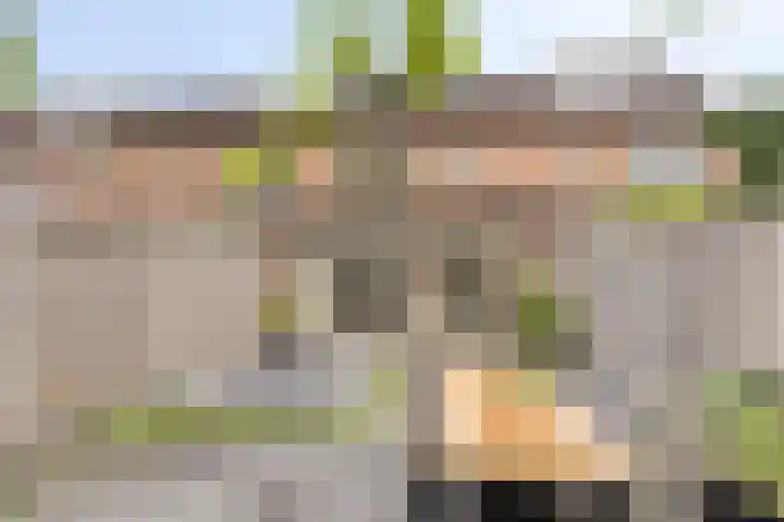 Kersenlaan 55 Oss thumbnail 32