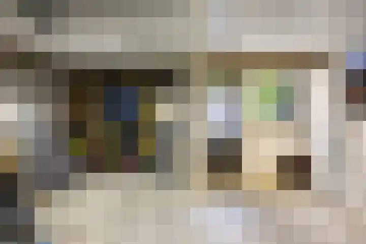 Kersenlaan 55 Oss thumbnail 35