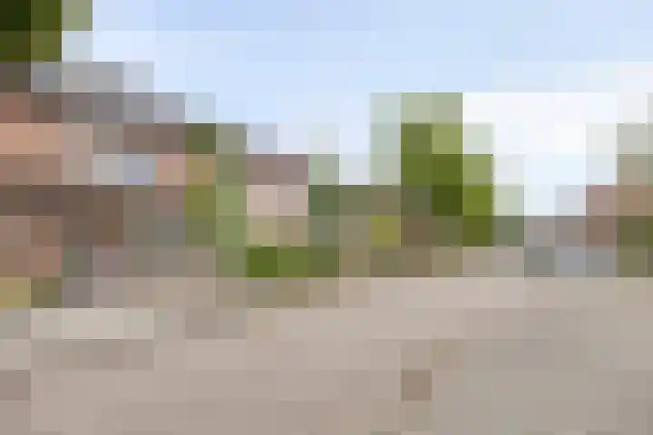 Kersenlaan 55 Oss thumbnail 37