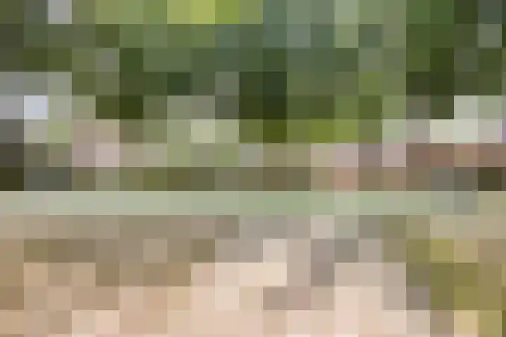 Kersenlaan 55 Oss thumbnail 38