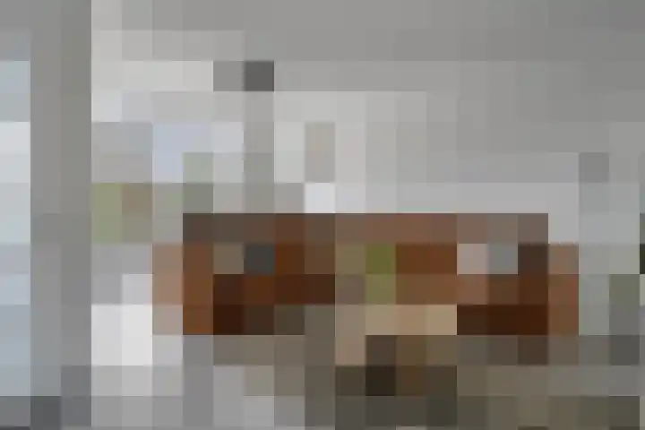 Kersenlaan 57 Oss thumbnail 11