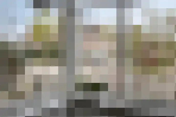 Kersenlaan 57 Oss thumbnail 13