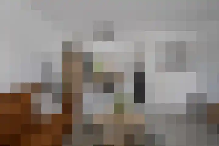Kersenlaan 57 Oss thumbnail 14