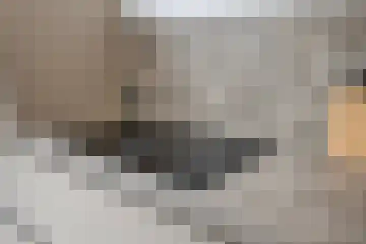 Kersenlaan 57 Oss thumbnail 24