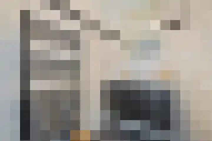 Kersenlaan 57 Oss thumbnail 30