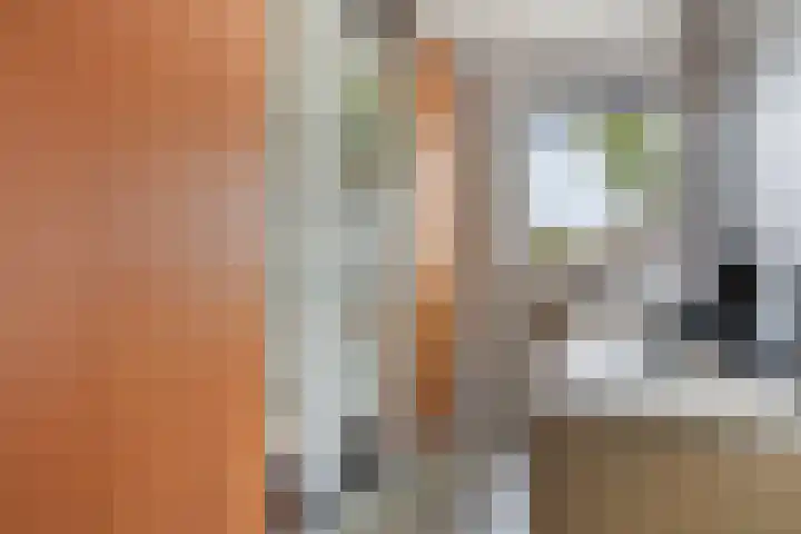 Kersenlaan 57 Oss thumbnail 34