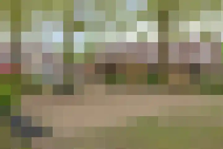 Kersenlaan 57 Oss thumbnail 48