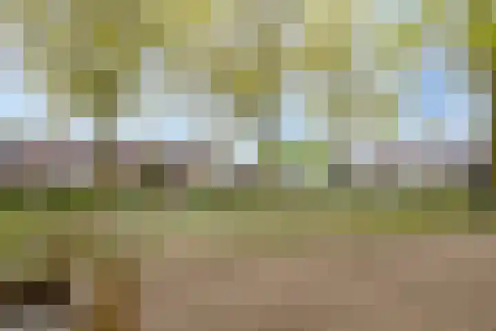 Kersenlaan 57 Oss thumbnail 49