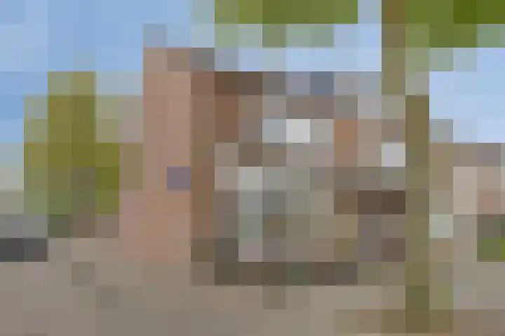 Kersenlaan 57 Oss thumbnail 5