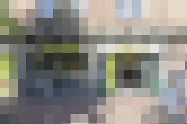 Kersenlaan 57 Oss thumbnail 7