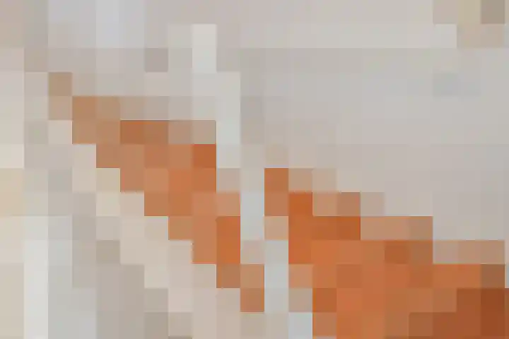 Kersenlaan 57 Oss thumbnail 8