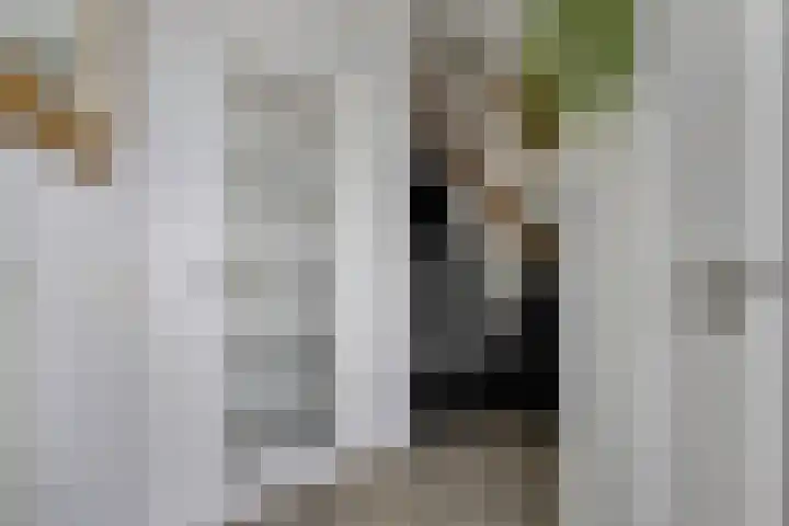 Kersenlaan 57 Oss thumbnail 8