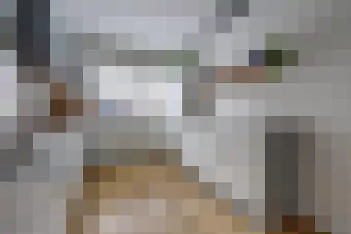 Kersenplukkerserf 13 Arnhem thumbnail 12