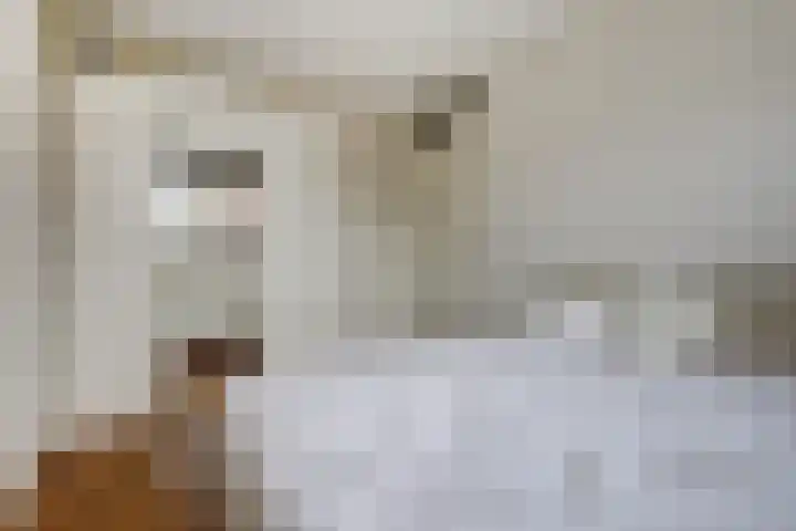 Kersenplukkerserf 13 Arnhem thumbnail 19